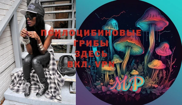 мдпв Верхний Тагил