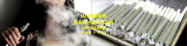 мдпв Верхний Тагил