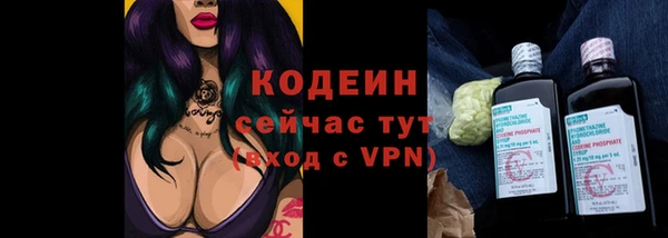 стаф Верея