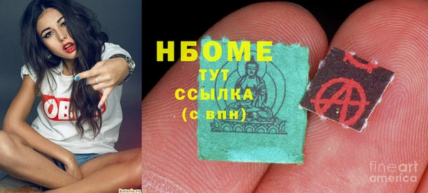 стаф Верея