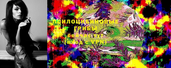 мдпв Верхний Тагил