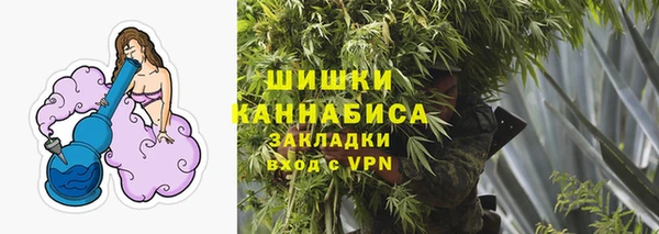 мдпв Верхний Тагил