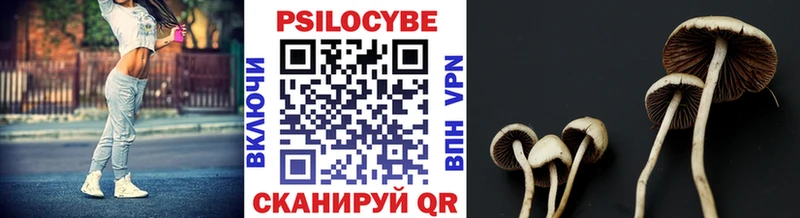 Галлюциногенные грибы Magic Shrooms  Краснообск 